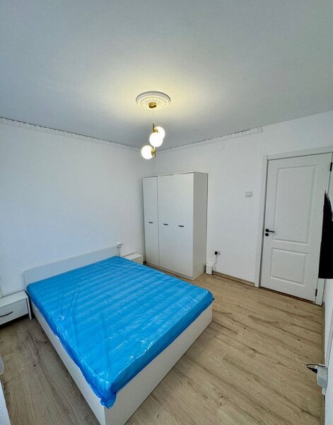 Teiul Doamnei, Cristea Mateescu,