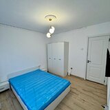 Teiul Doamnei, Cristea Mateescu